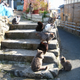 Illustration for article titled Cats Rule These Japanese Islands